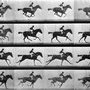 Eadweard Muybridge, Sallie gardner at a gallop, 1878